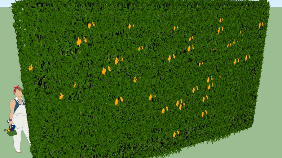 MURO VERDE