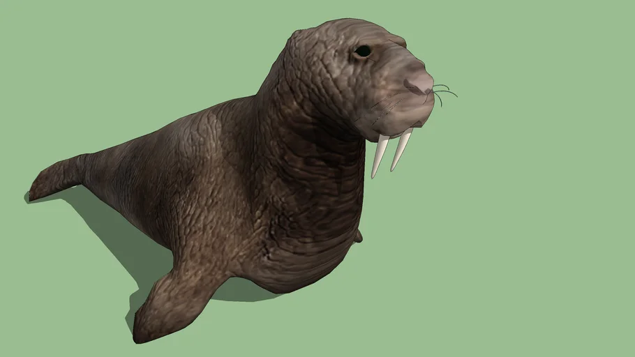 Seal