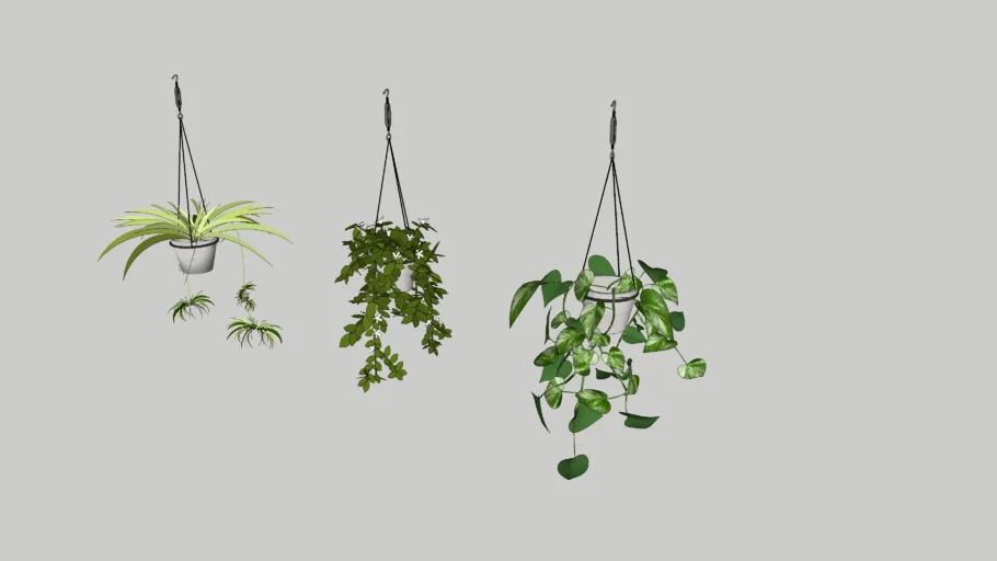 Hang Planter