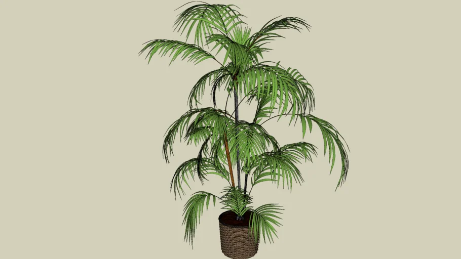 POTS PLANT (50)