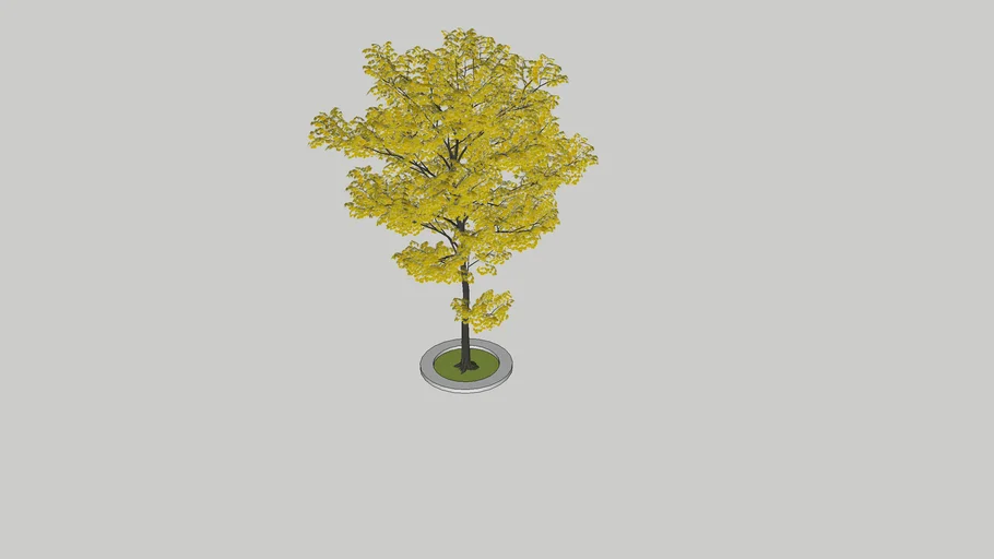 TREE-Cây