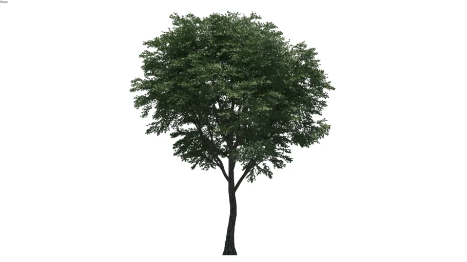 2D Tree 12