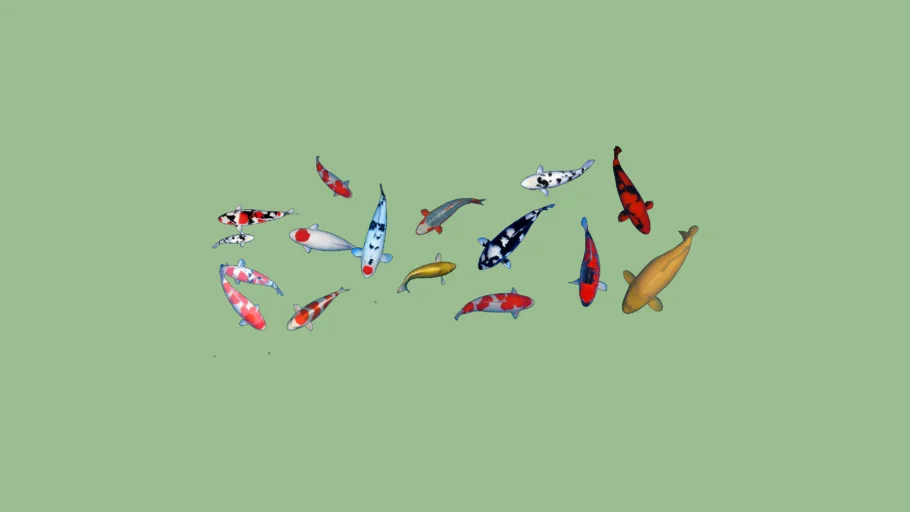 Koi fish HD