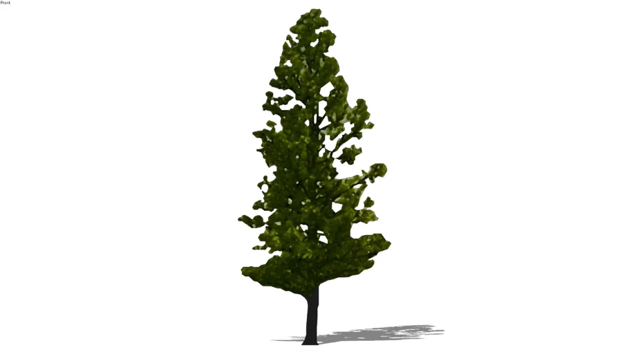 2D semi realistic pine3 tree
