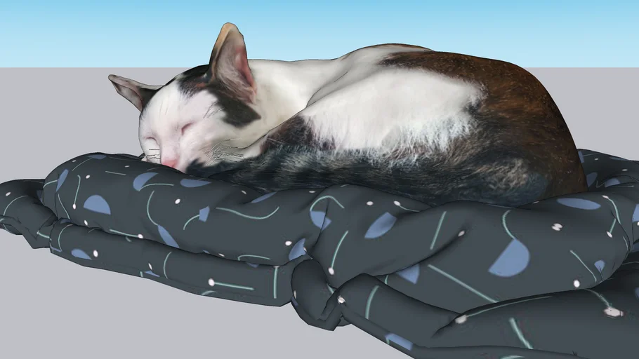 Gato