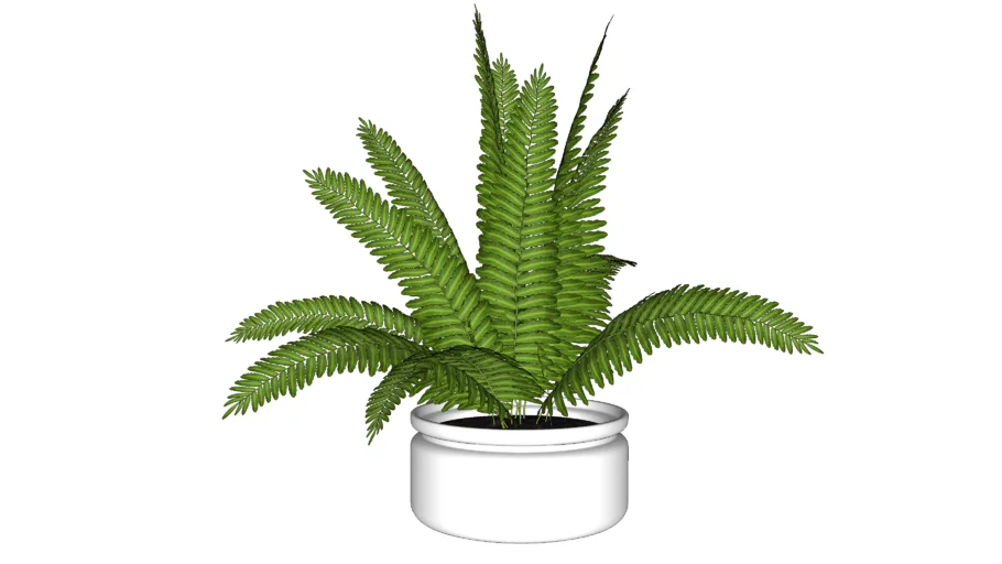 PLANTA