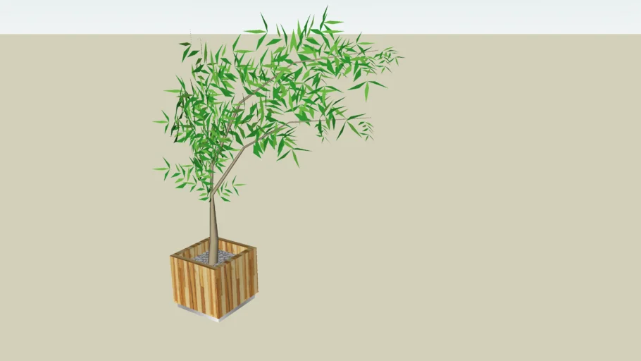 Bambu mosso