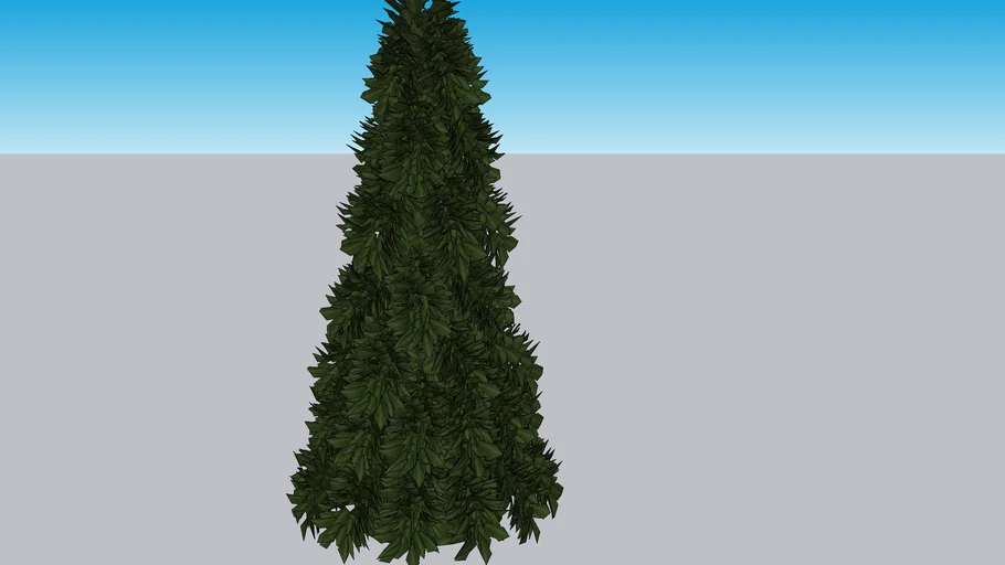 Christmas Tree Plain