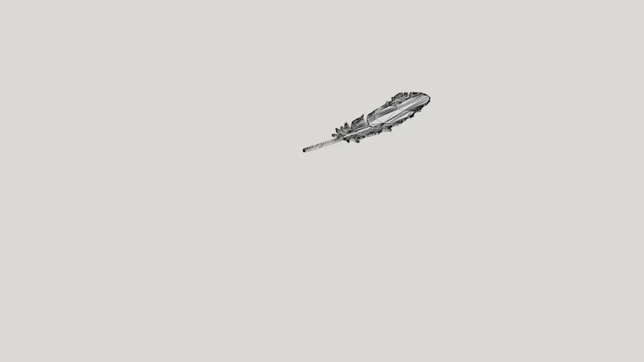 Blue Origin Feather