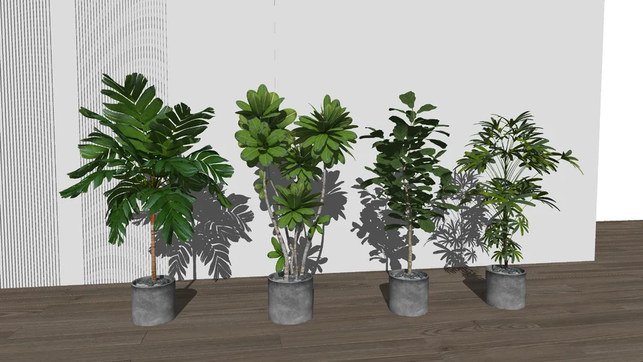 Interior Plant 4