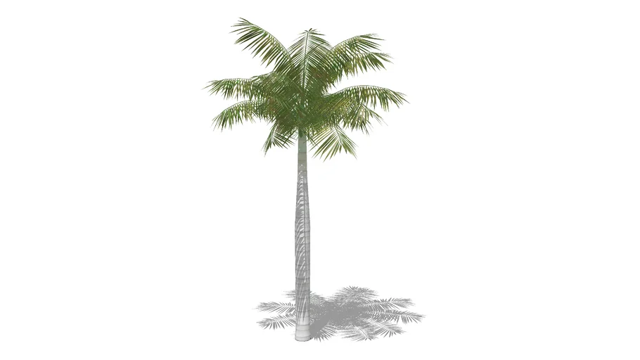 tree4