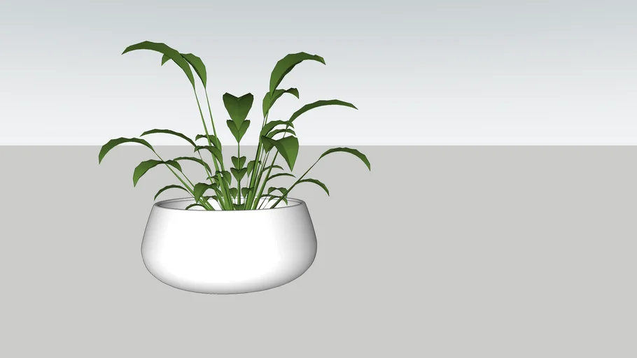 Plantinha