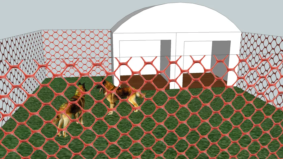 dogs in fenced in area