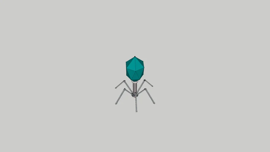 T4 VIRUS BACTERIOPHAGE