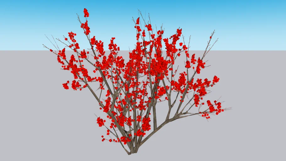Berry Poppins® Winterberry Holly - Ilex verticillata