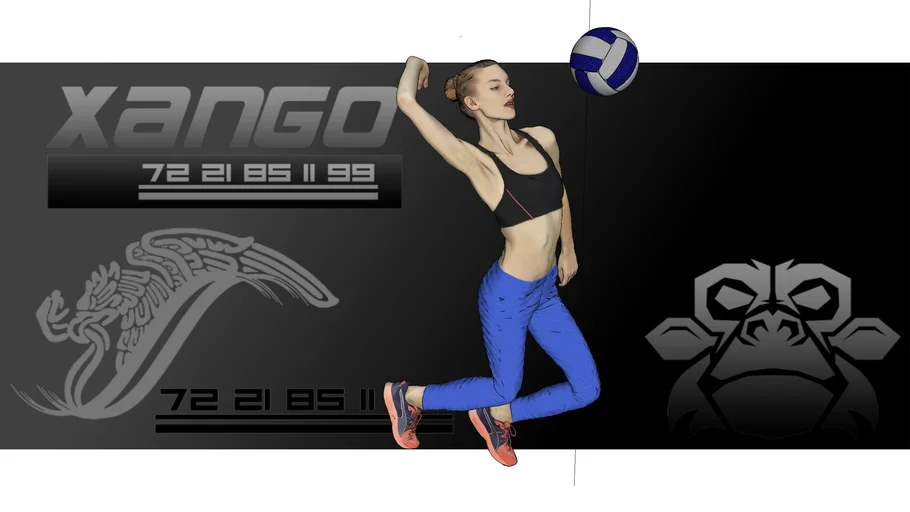 Mujer jugando voleibol, Woman playing volleyball, Mulher jogando vôlei - xango3d