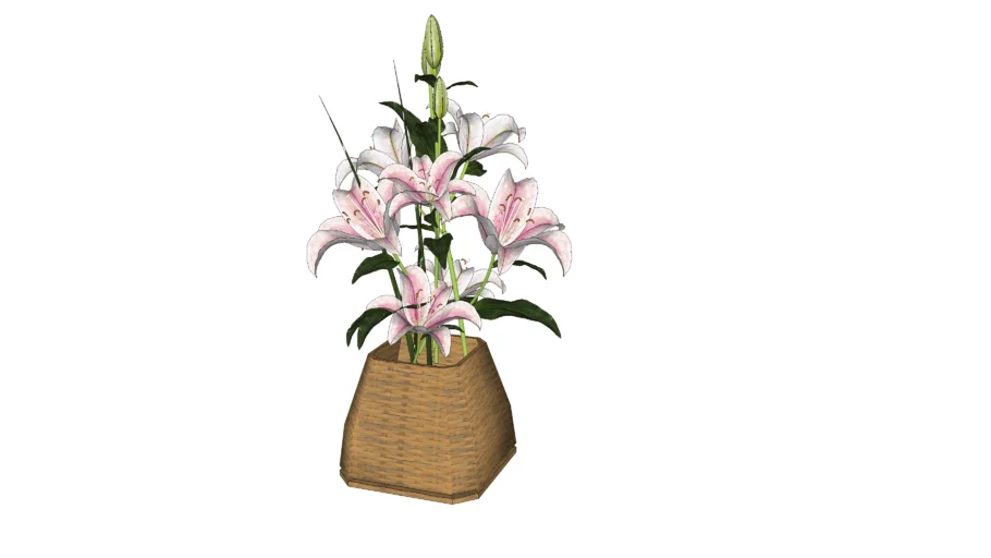 Flores