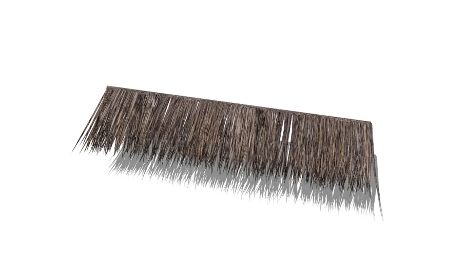 Thatch roof