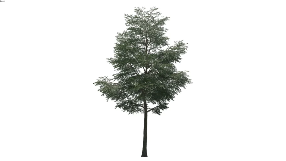 2D Tree 16
