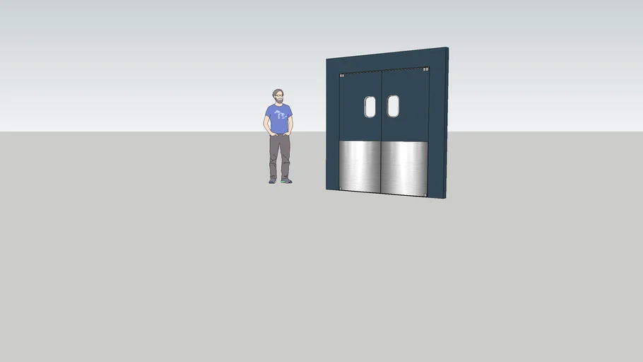 SWINGING KITCHEN DOORS