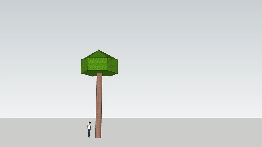 arbre