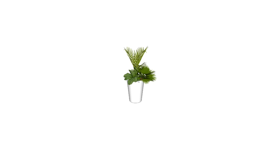 Pot tropical