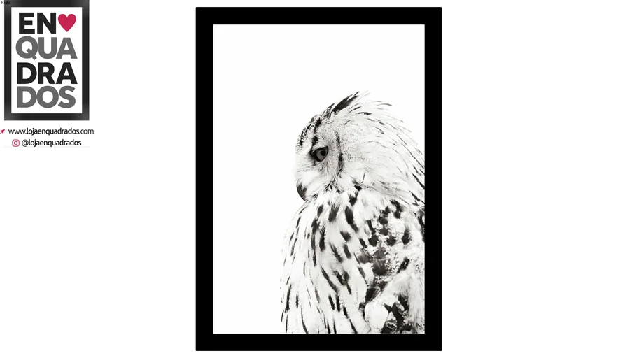 QUADRO CORUJA