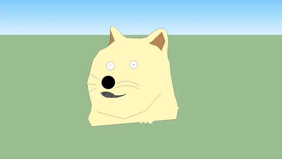 Doge