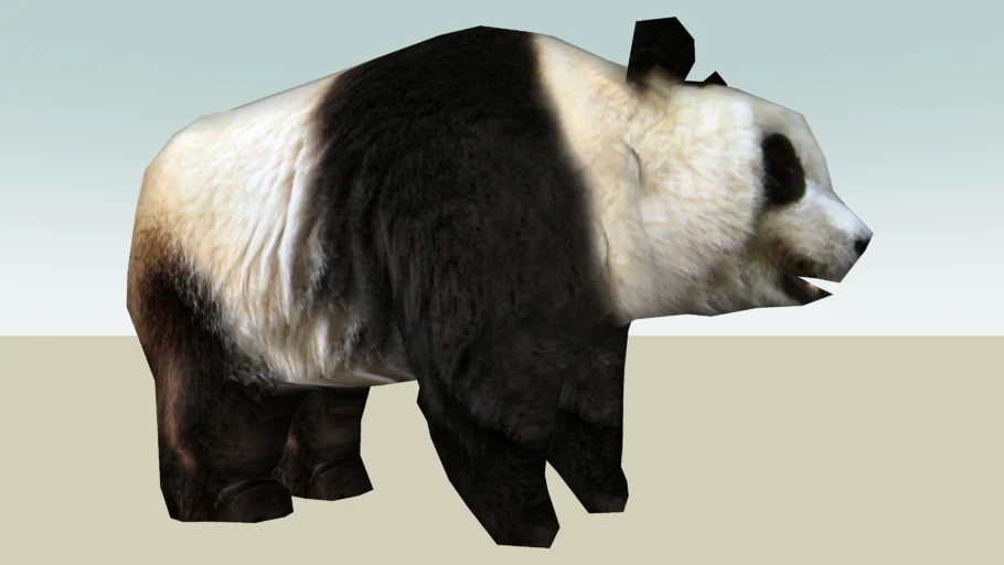 Giant Panda (adult male) Photo Textured