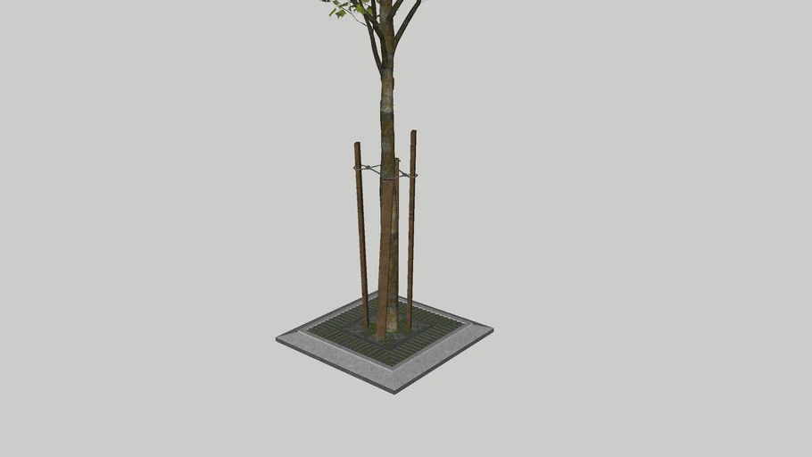 tree 03