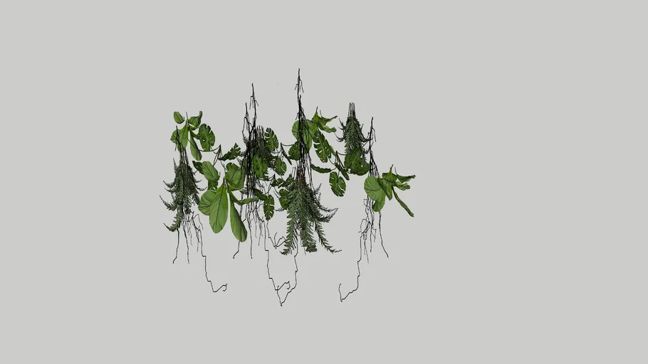 Vegetacion colgante  mix