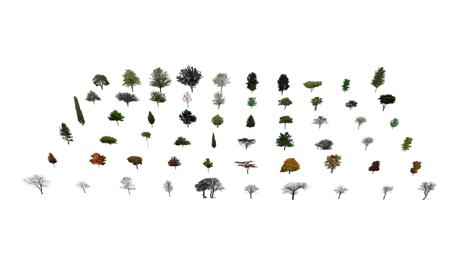 2D Trees | 3D Warehouse