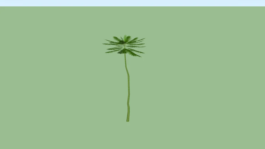 SOLOBIUM ATAU TURI BRASIL