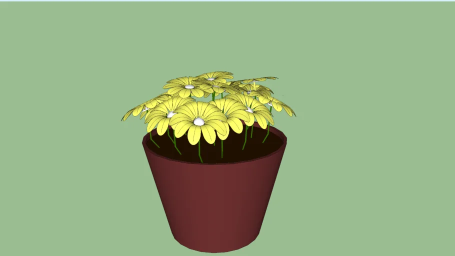 Flower Pot