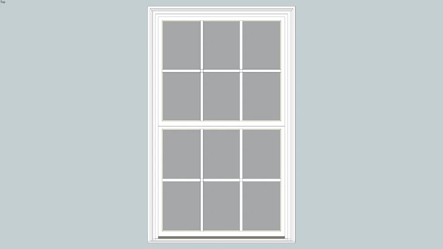 Infinity Double Hung Window