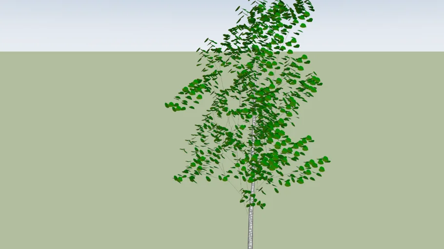 Arbol