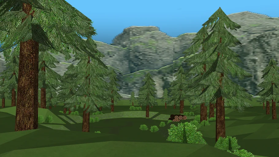 Forest