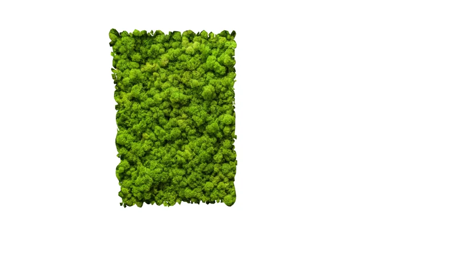 Moss wall panel
