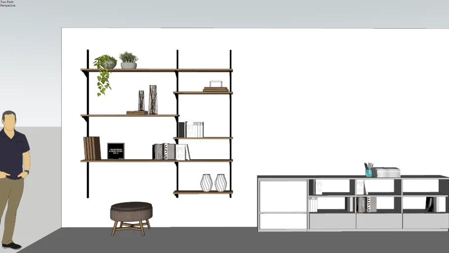 Bookshelves in the living room