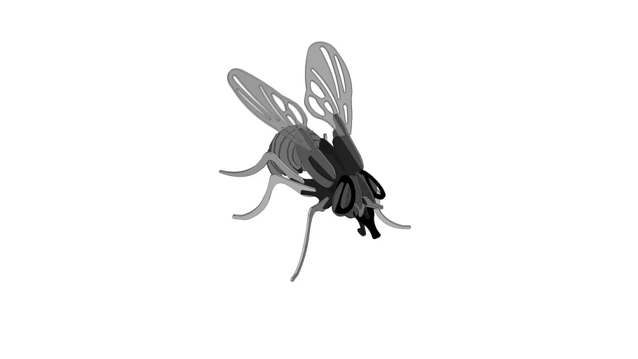 3d fly | 3D Warehouse