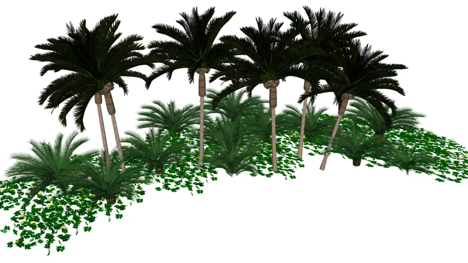 Cycas e Palmeiras Fênix