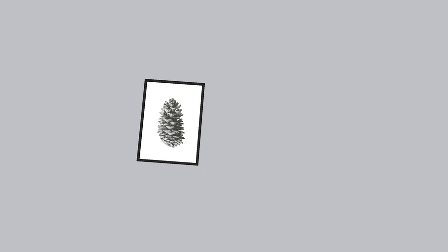 bild pine cone