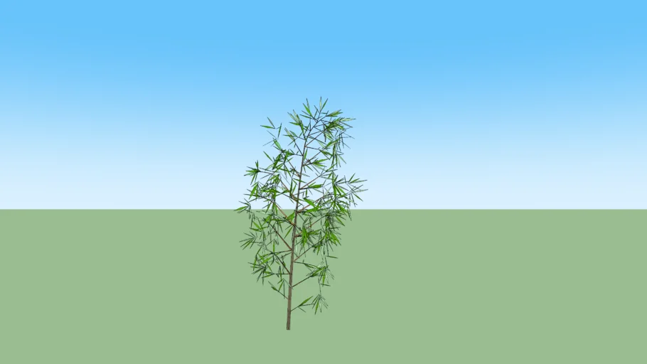 bamboo-multiplex