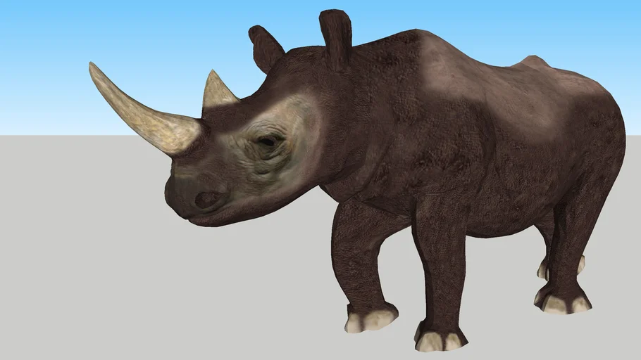 Rhinoceros