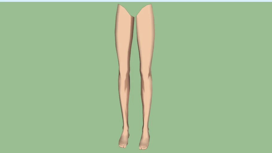 Female Legs for bases