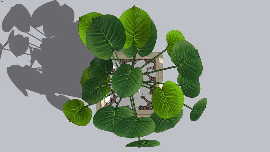 Vaso de Planta