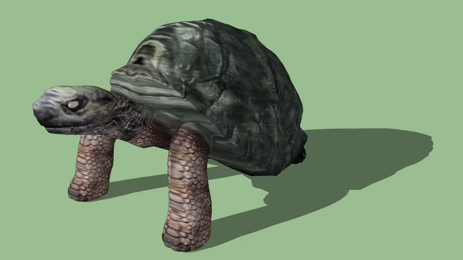 Turtle | 3D Warehouse