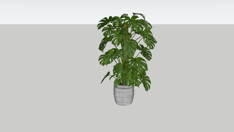 Tree 3