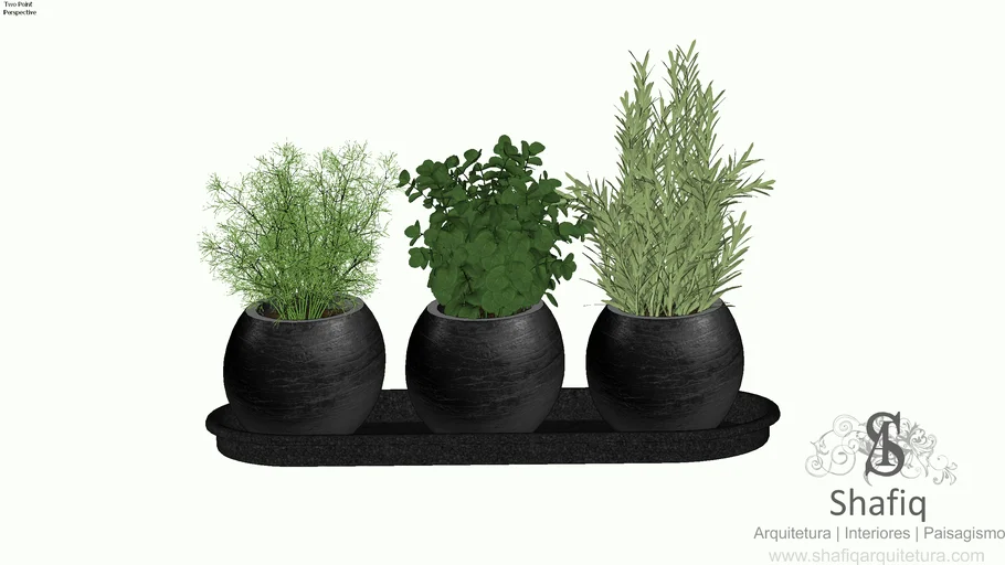 PLANTS 03