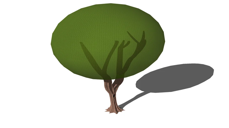 Tree from To Kill a Mockingbird